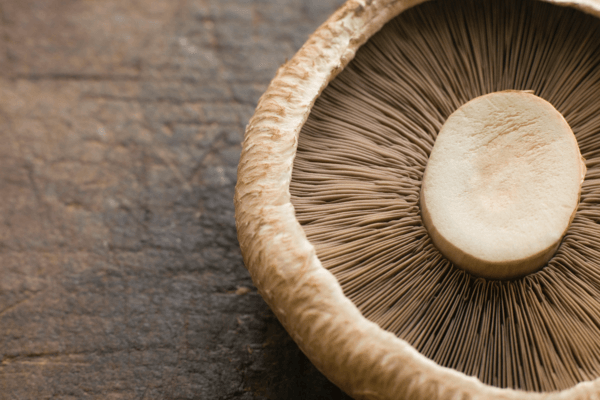 The 10 Best Mushroom Supplements To Try Right Now