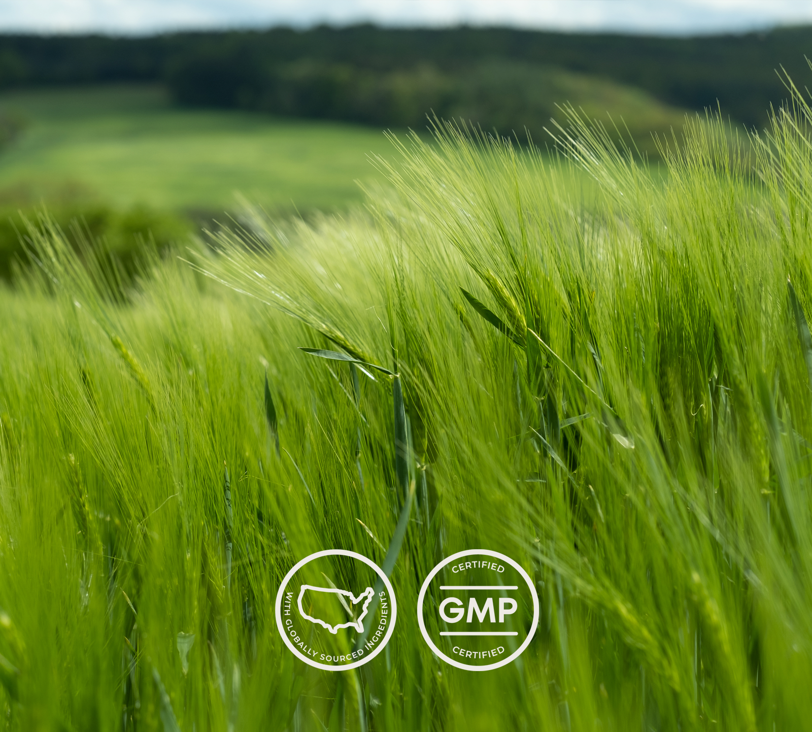 certified GMP with globally sourced ingredients