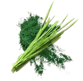 Grass-Fed, Free-Range Sourcing