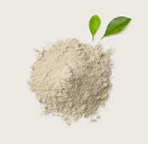 8 Lactobacillus Strains