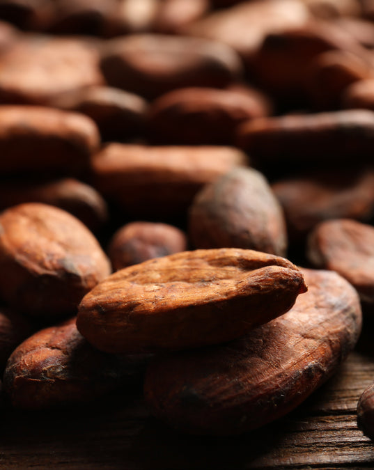 healthy organic cocoa