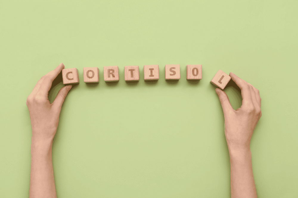 Stress, Cortisol, and the Body: A Complete Guide to Regulation and Recovery