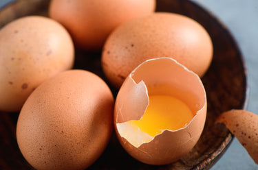 Eggshell Membranes 101: Everything You Need To Know