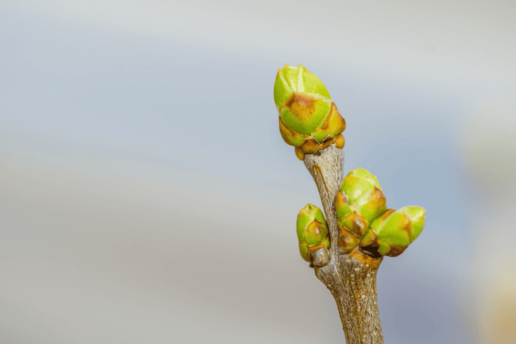 Your Spring Wellness Reset: 6 Small Shifts That Actually Stick