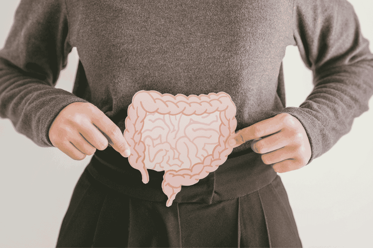 person holding an illustration of the intestines