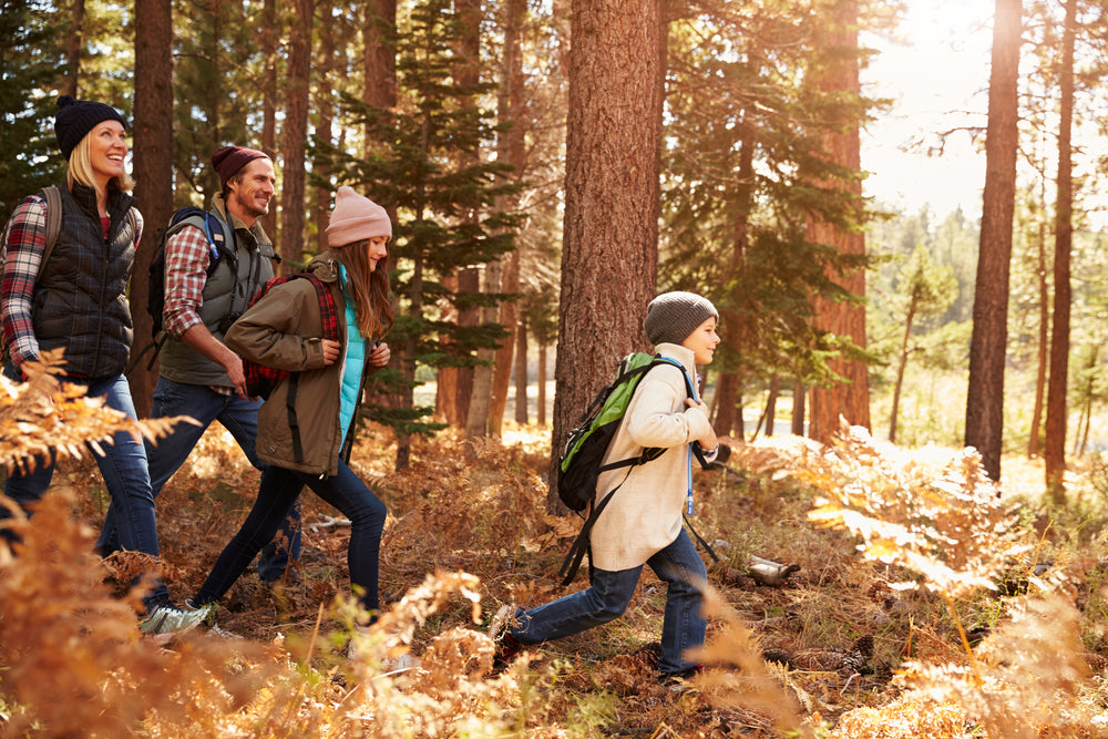 Embrace the Beauty of Autumn: Hiking Tips and the Importance of Staying Active