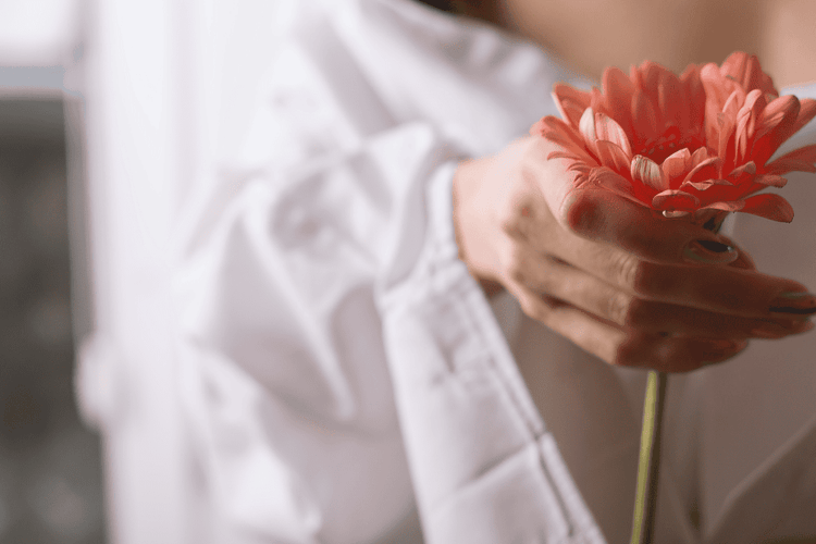 The Guide to Women’s Hormones