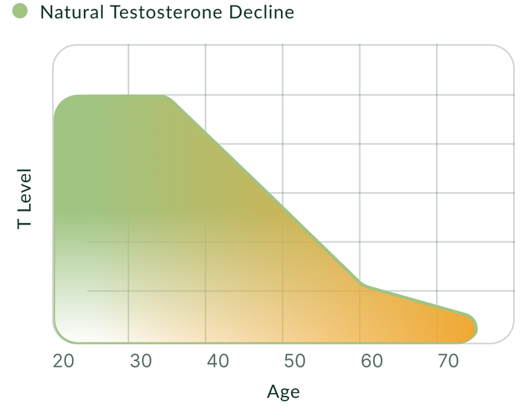 Supports Testosterone Levels