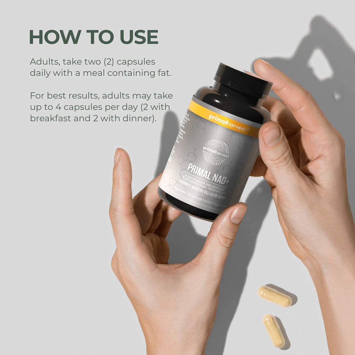 Primal NAD+ How to Use