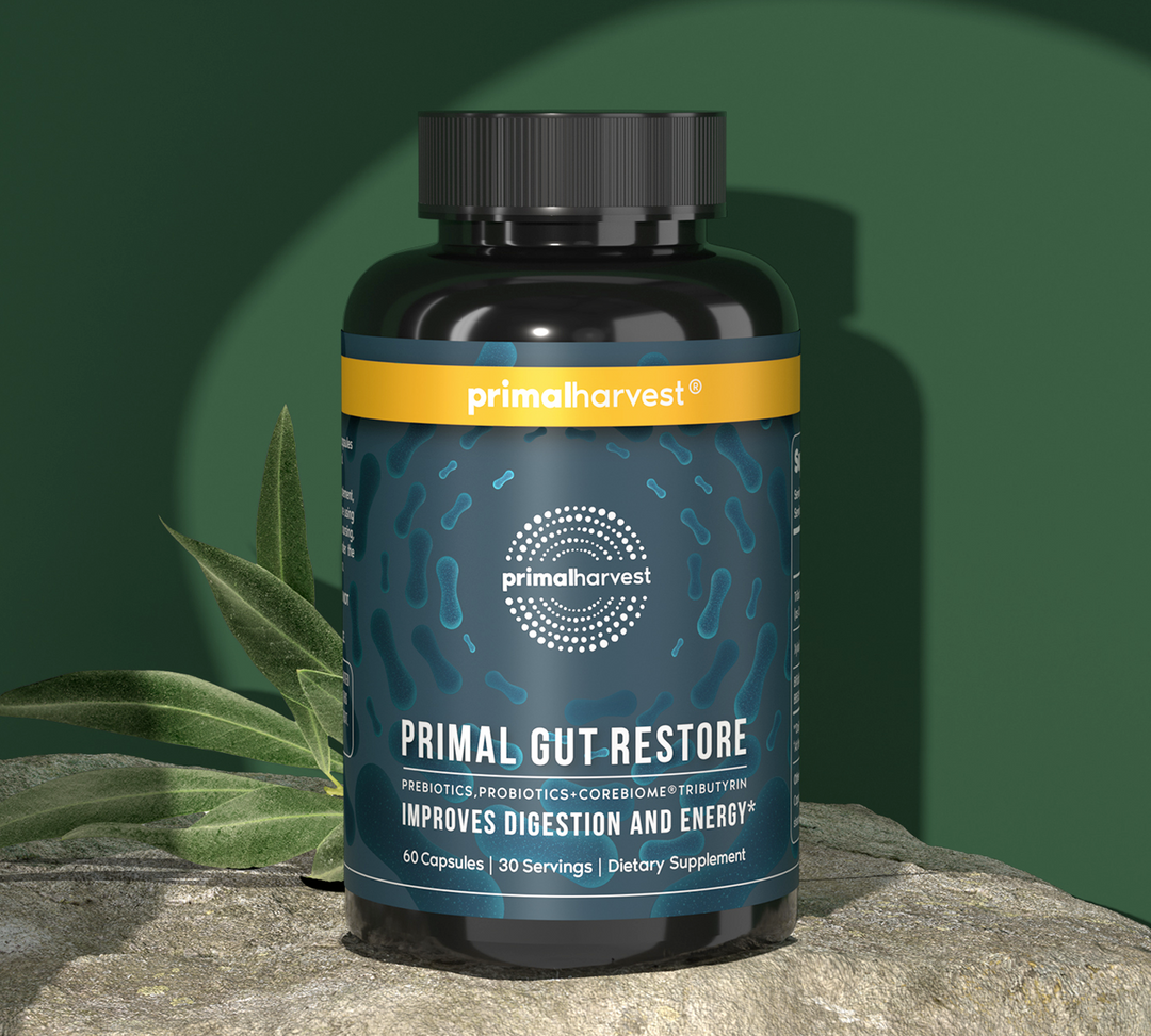restore gut health supplement