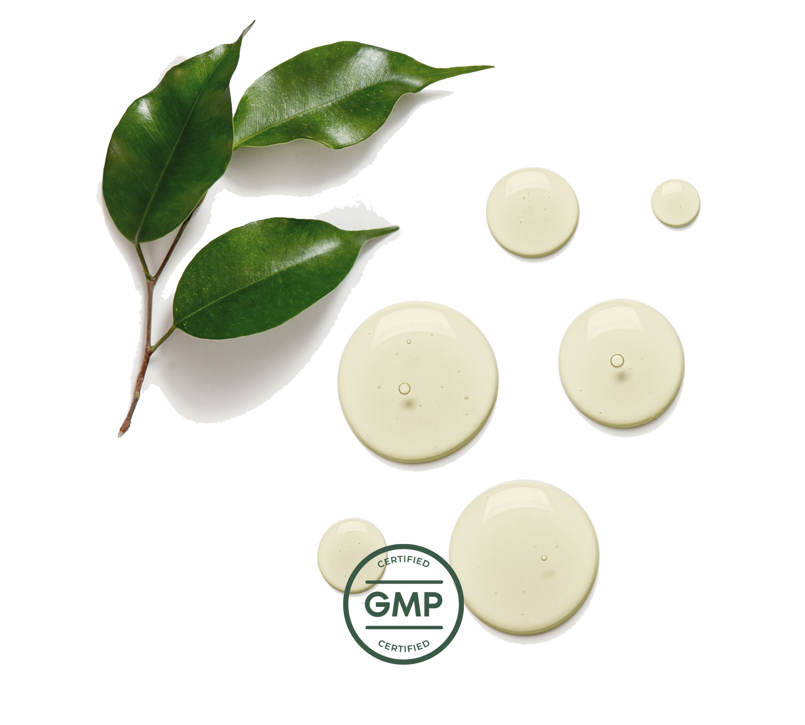 certified GMP supplement