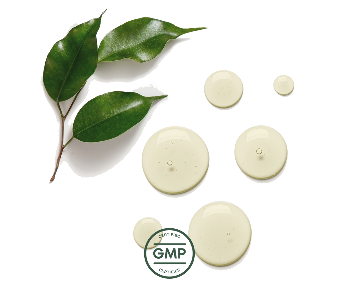 certified GMP supplement