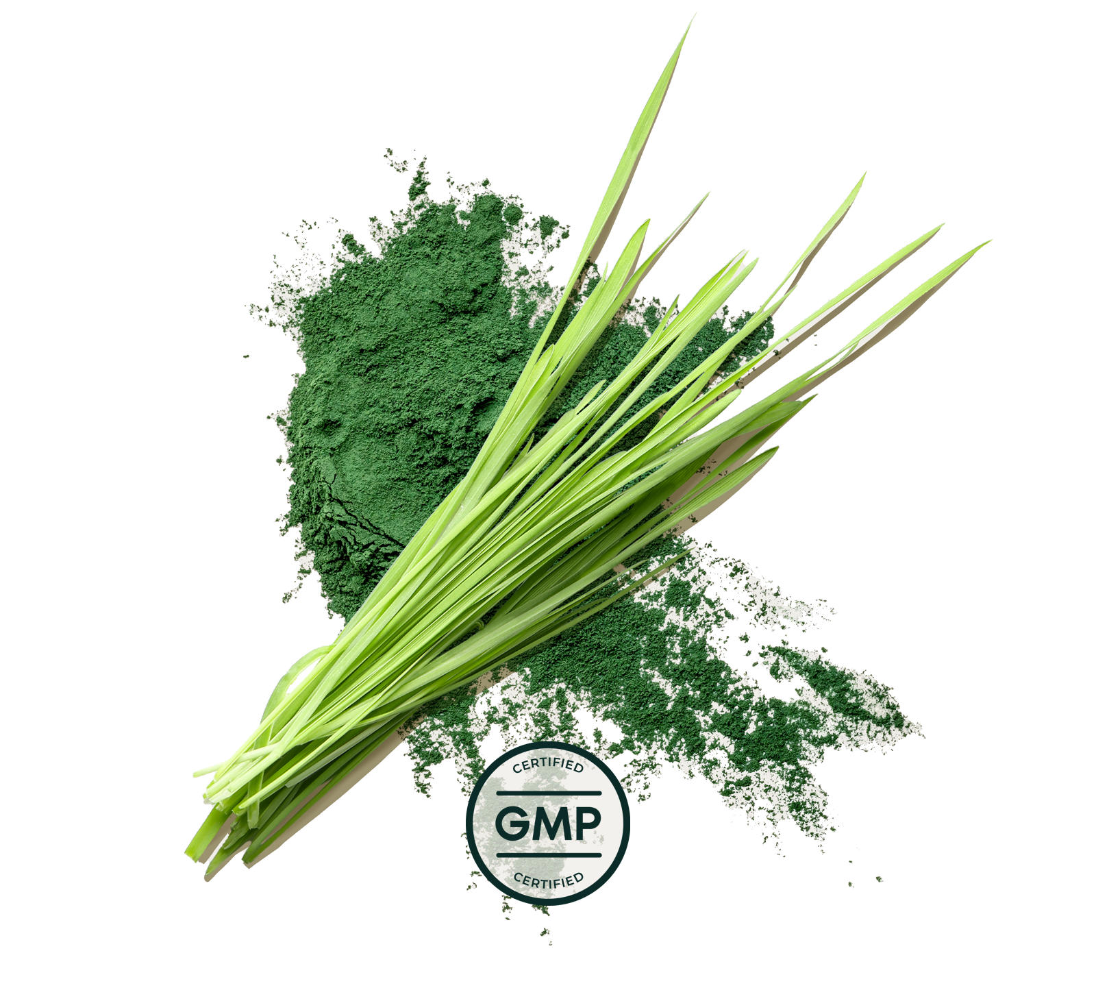Primal Greens