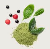 Folic Acid (Vitamin B9)
