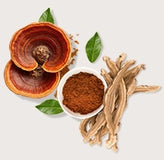 Reishi