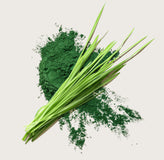 Bacopa Monnieri Extract (in NeuroSmart™ Blend)