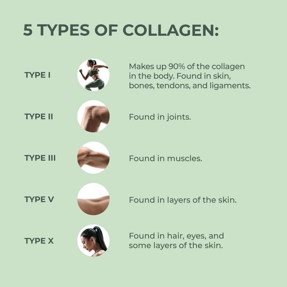 Primal Multi Collagen