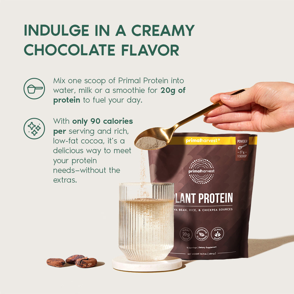 Chocolate Plant Protein