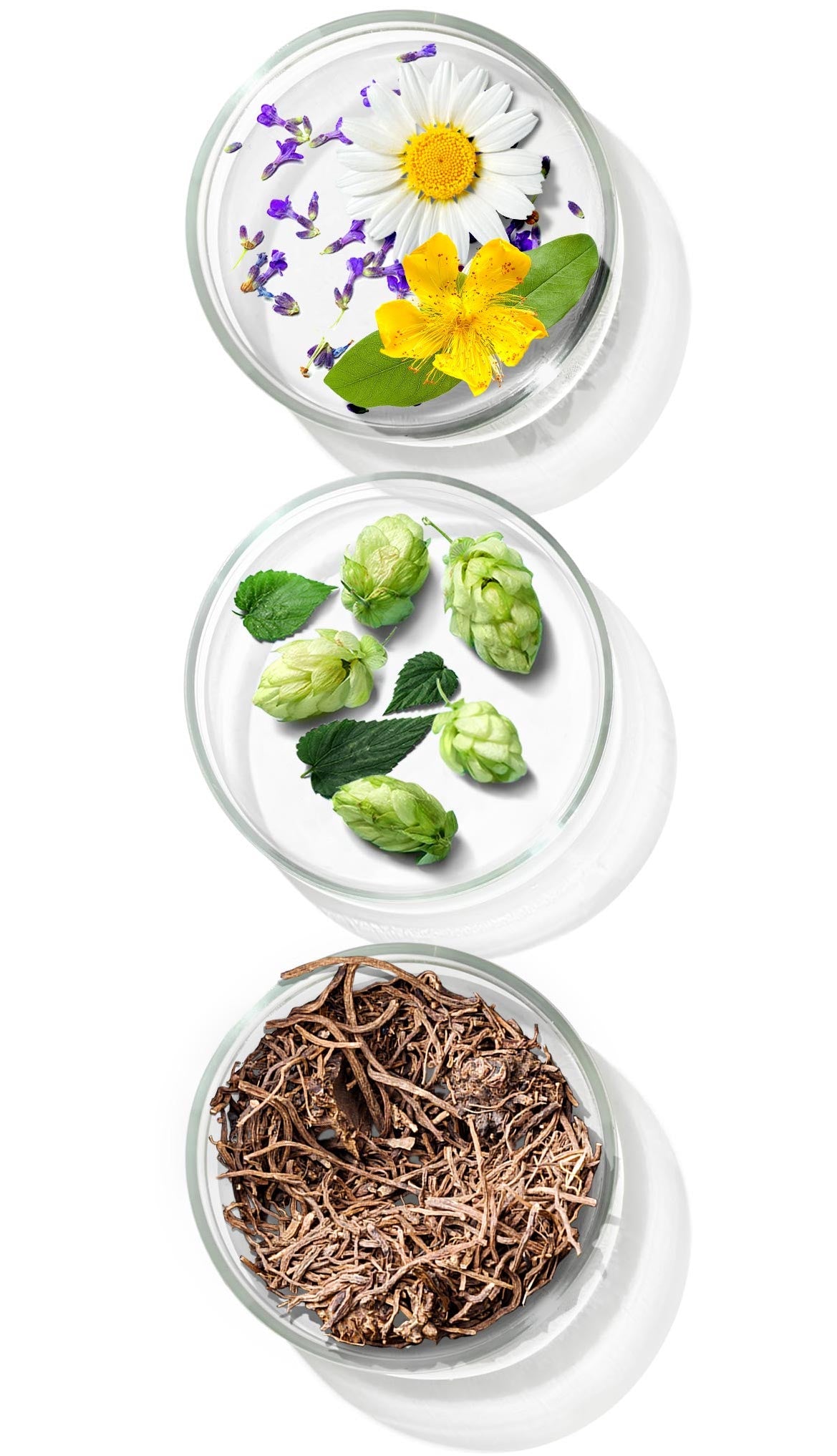 Primal Sleep Natural Sleep Aid for a better Nights Sleep ๐ฅ