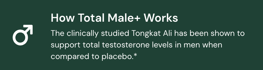 Supports Testosterone Levels