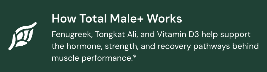 Supports Muscle Performance