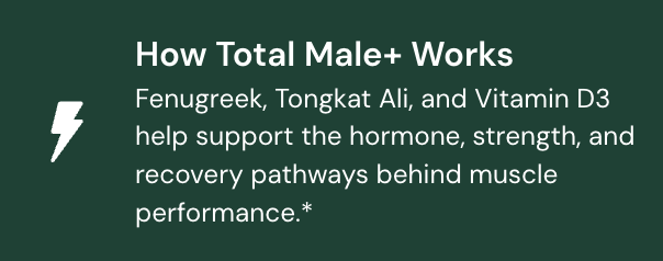 Supports Muscle Performance