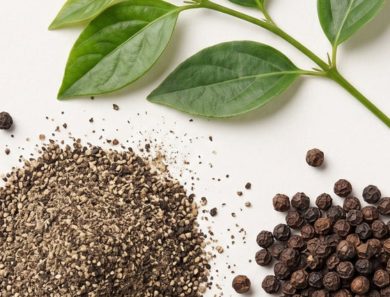 BioPerine (Black Pepper Extract, 95% Piperine)