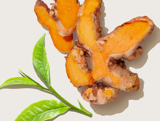Turmeric (95% Curcuminoids)