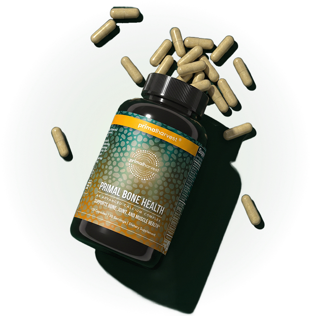 Primal Bone Health